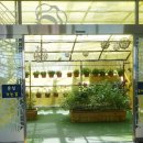 창녕우포곤충나라 이미지