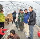 치목삼베마을 이미지