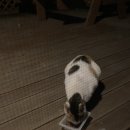 인월주유소 이미지