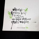 캘리그라피 붓펜반 네이버블로그