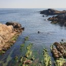 죽성드림세트장 이미지