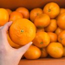 세일농장 이미지