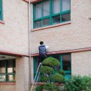 가림초등학교 이미지