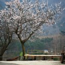 마을관리 휴양지 이미지