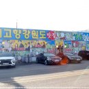 내고향회집