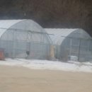 상록수펜션 이미지