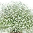 노인복지론 이미지