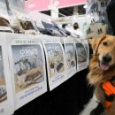 코리아펫 이미지