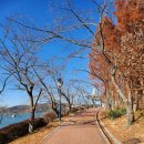 지에스25 홍대레드로드점 이미지