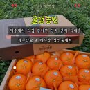 샘농원 | 제주감귤 레드향 설선물세트 추천 제주특산품 귤샘농원 직거래 후기