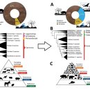 철랑농장 이미지