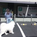 아이앤지동물병원 이미지