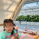 팔부농장 이미지