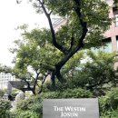 STAY HOTEL 이미지