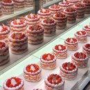 키친205 Daum카페