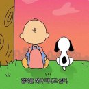 베프 바이오 네이버블로그
