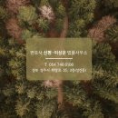 법률사무소신평 이미지
