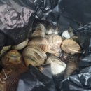 밧개플레이스2 이미지