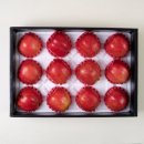 고씨네 농장 이미지