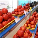 (주)이마트분당점 이미지