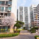 중원-115 이미지