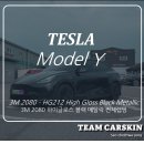 팀카스킨 이미지
