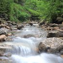 그리운 계곡 펜션 이미지