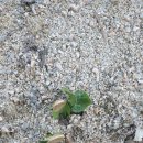 만송농장 이미지