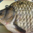 혹부리한의원 이미지