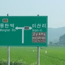 금남 최부 묘소 이미지