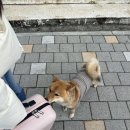 예심갤러리카페