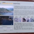 태하 물양장 티스토리