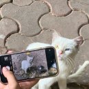 디자인베베