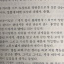 월매월매전 이미지