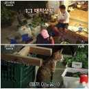 대치목장 이미지