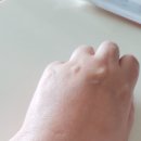 (주)벤스랩