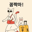 진순희 이미지