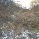 단양군어상천면석교보건진료소 | ♡단양군 토지(전)경매/충북 단양군경매>충북 단양군 어상천면 대전리 898 경매 정보/ 2017타경3641