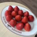 연음향 | 2603_휴식이 필요해