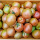 물안골마을 이미지