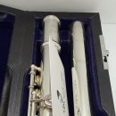 플룻 (B)? 이미지