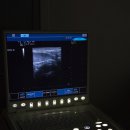 이스턴동물병원 이미지