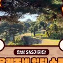 원곡면행정복지센터 이미지