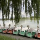 뉴수성하와이 이미지