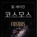 코스모스작은도서관 이미지