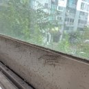 원천레이크파크 이미지