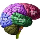 허한의원 이미지