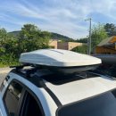 다이나짐 이미지