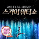 제주 스카이워터쇼 이미지