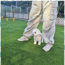 더블루네스 이미지